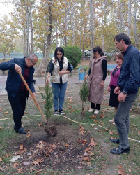 Oktyabrın 24 də Mingəçevir şəhərində ağacəkmə aksiyası davam etdirilib