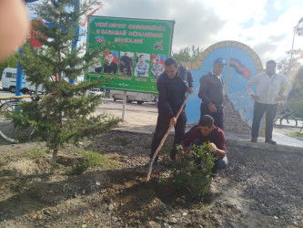 Mingəçevir şəhərində "Anım Günü" ilə bağlı təmizlik işləri aparılmışdır.