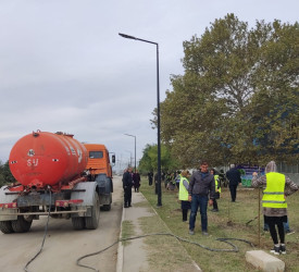 Oktyabrın 27 də Mingəçevir şəhərində ağacəkmə aksiyası davam etdirildi