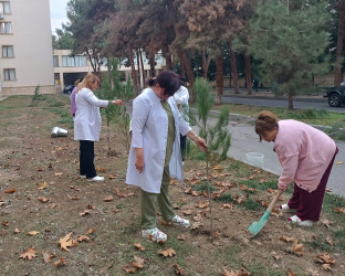 Mingəçevir şəhər Mərkəzi Xəstəxanasında yaşıllaşdırma aksiyası təşkil olunub