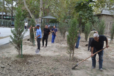 Mingəçevirdə növbəti  ictimai baxış keçirildi