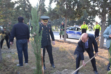 8 Noyabr Zəfər Günü münasibəti ilə Mingəçevir şəhər İcra Hakimiyyətinin təşkilatçılığı ilə sislsilə tədbirlər keçirilib..İlk olaraq "Zəfər parkı" ziyarət olundu. Ağac əkildi.