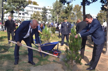 Mingəçevir şəhərində 27 sentyabr Anım günü münasibəti ilə şəhidlərin xatirəsinə ehtiram əlaməti olaraq ağacəkmə aksiyası keçirilmişdir.