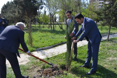 Aprel ayının 18 də “Yaşıl dünya naminə həmrəylik İli” çərçivəsində Ağacəkmə aksiyası keçirildi