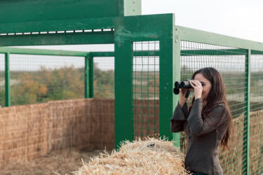 Leyla Əliyeva Mingəçevirdə ekoloji aksiyalarda iştirak edib