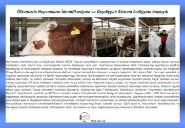 Mingəçevirdə heyvanların identifikasiyası ilə bağlı maarifləndirici görüşlər keçirilib.