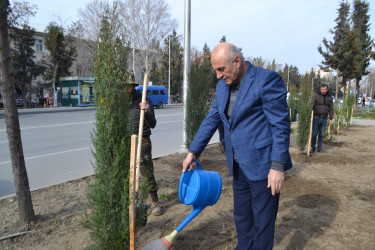 MİNGƏÇEVİRDƏ ÜMUMŞƏHƏR İMƏCİLİYİ KEÇİRİLİB