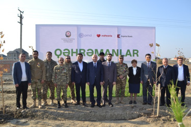 Şəhidlərin xatirəsinə ağacəkmə aksiyası keçirilib