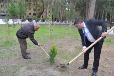 ANIM GÜNÜ mingəçevirlilər şəhidlərin məzarlarını ziyarət etdilər