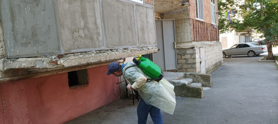 Mingəçevir Dezinfeksiya Stansiyasının əməkdaşları tərəfindən dezinfeksiya işləri aparılıb