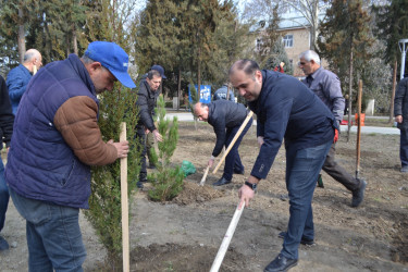 MİNGƏÇEVİRDƏ ÜMUMŞƏHƏR İMƏCİLİYİ KEÇİRİLİB