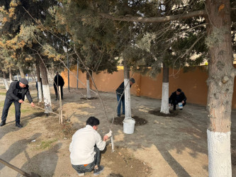 MİNGƏÇEVİRDƏ ÜMUMŞƏHƏR İMƏCİLİYİ KEÇİRİLİB
