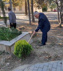 Oktyabrın 27 də Mingəçevir şəhərində ağacəkmə aksiyası davam etdirildi