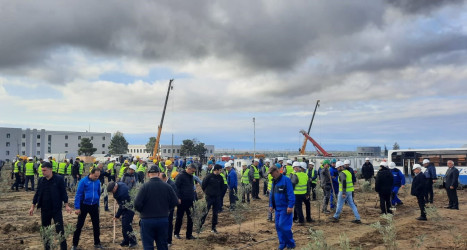 Oktyabrın 25 də Mingəçevir şəhərində ağacəkmə aksiyası davam etdirildi