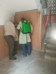 Mingəçevir Dezinfeksiya Stansiyasının əməkdaşları şəhər ərazisində profilaktik tədbirlər həyata keçirir