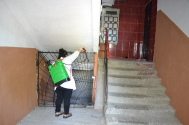 Mingəçevirdə ilanlar əlehinə dərmanlama işləri aparılıb