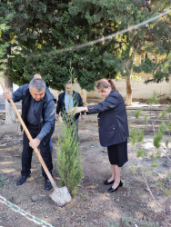 Oktyabrın 24 də Mingəçevir şəhərində ağacəkmə aksiyası davam etdirilib