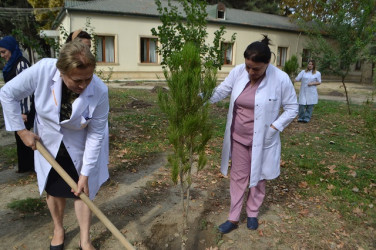 Mingəçevir Mərkəzi xəstəxanasının əməkdaşları   “Yaşıl dünya naminə həmrəylik ili” çərçivəsində aksiya keçirilib.