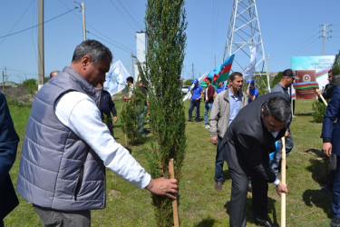 Aprelin 26-da Mingəçevir şəhər İcra Hakimiyyətinin  təşkilatçılığı ilə “Konstitusiya və Suverenlik ili” münasibəti ilə ağacəkmə aksiyası keçirilib.