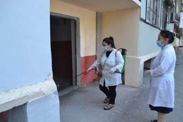 Mingəçevirdə ilanlar əlehinə dərmanlama işləri aparılıb