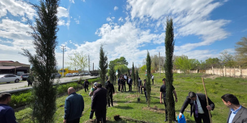 YAP Mingəçevir şəhər təşkilatında “Şəhərsalma və Memarlıq İli”nə həsr olunmuş tədbir keçirilib.